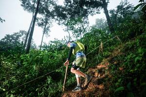 BIB: 
                            <button type="button" onclick="openModal(26202520)" class="btn btn-primary btn-sm float-right btn-popup" data-toggle="modal" data-target=".modal-high-quality">
                        <i class="fas fa-shopping-cart"></i> Add to Cart
                    </button>
                                            <button type="button" onclick="isThisMe(26202520, true)" class="btn btn-success btn-sm float-right btn-popup btn-isme hidden" data-toggle="tooltip" data-placement="bottom" title="นี่คือรูปของคุณใช่ไหม คลิกที่นี่เพื่อเอาเข้าอัลบั้ม">
                        <i class="fas fa-plus"></i> Add to album
                    </button>
                    <button type="button" onclick="isThisMe(26202520, false)" class="btn btn-warning btn-sm float-right btn-popup btn-isnotme hidden">
                        <i class="fas fa-ban"></i> Remove from album
                    </button>